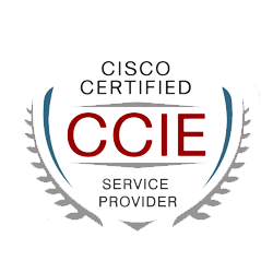<a href="https://www.chinesedumps.com/spcor-350-501-ccnp-dumps.htm">350-501 - CCIE Service Provider</a>